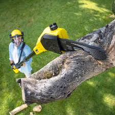 Best Lawn Drainage Solutions  in Waverly, TN